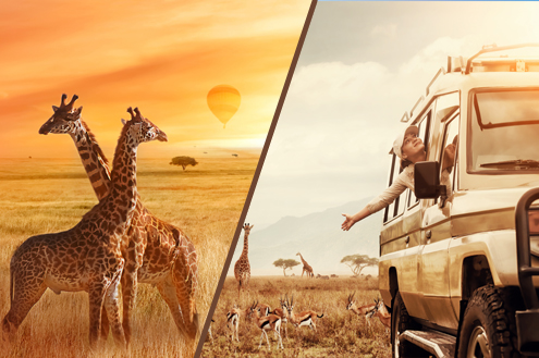 Kenya Safari